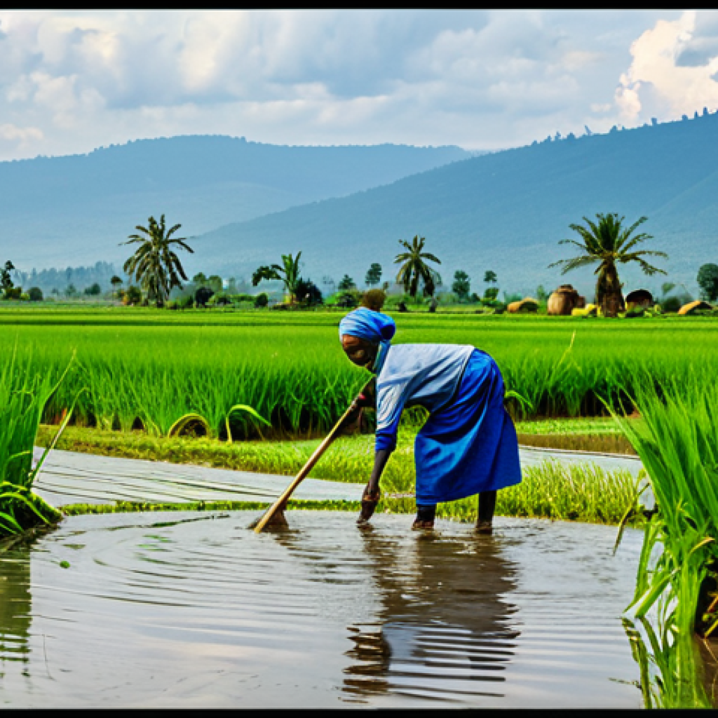 White Nile Agriculture**
"A Rwandan family working in a rice paddy field irrigated by the White Nile, fully clothed in traditional work attire, safe for work, appropriate content, professional photograph, perfect anatomy, correct proportions, natural pose, vibrant colors, lush greenery, clear water reflecting the sky, modest farming scene, family-friendly."
**