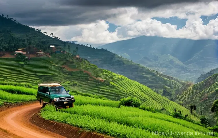 르완다에서의 교통 위반 벌금 - **Urban Driving in Kigali with Emphasis on Safety and Order:**
"A male adult tourist, approximat...